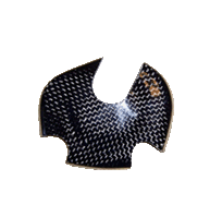 Carbon Kurbelwellendeckel