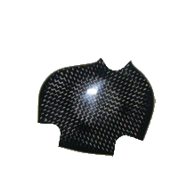 Carbon Kurbelwellendeckel