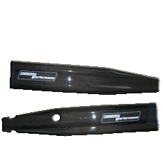 Carbon Schwingenschutz