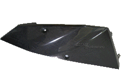 Carbon Tankverkleidung links